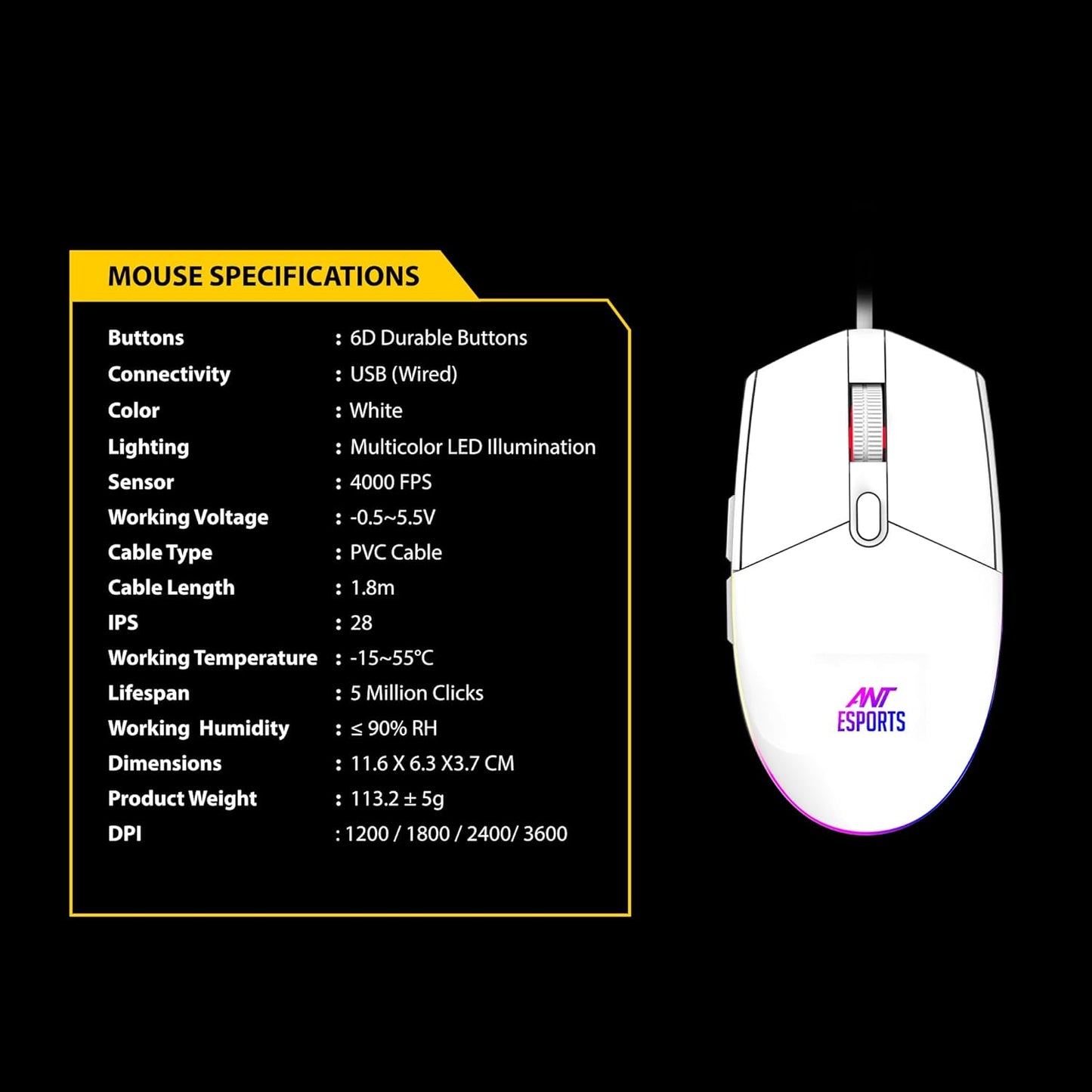 Ant Esport KM540